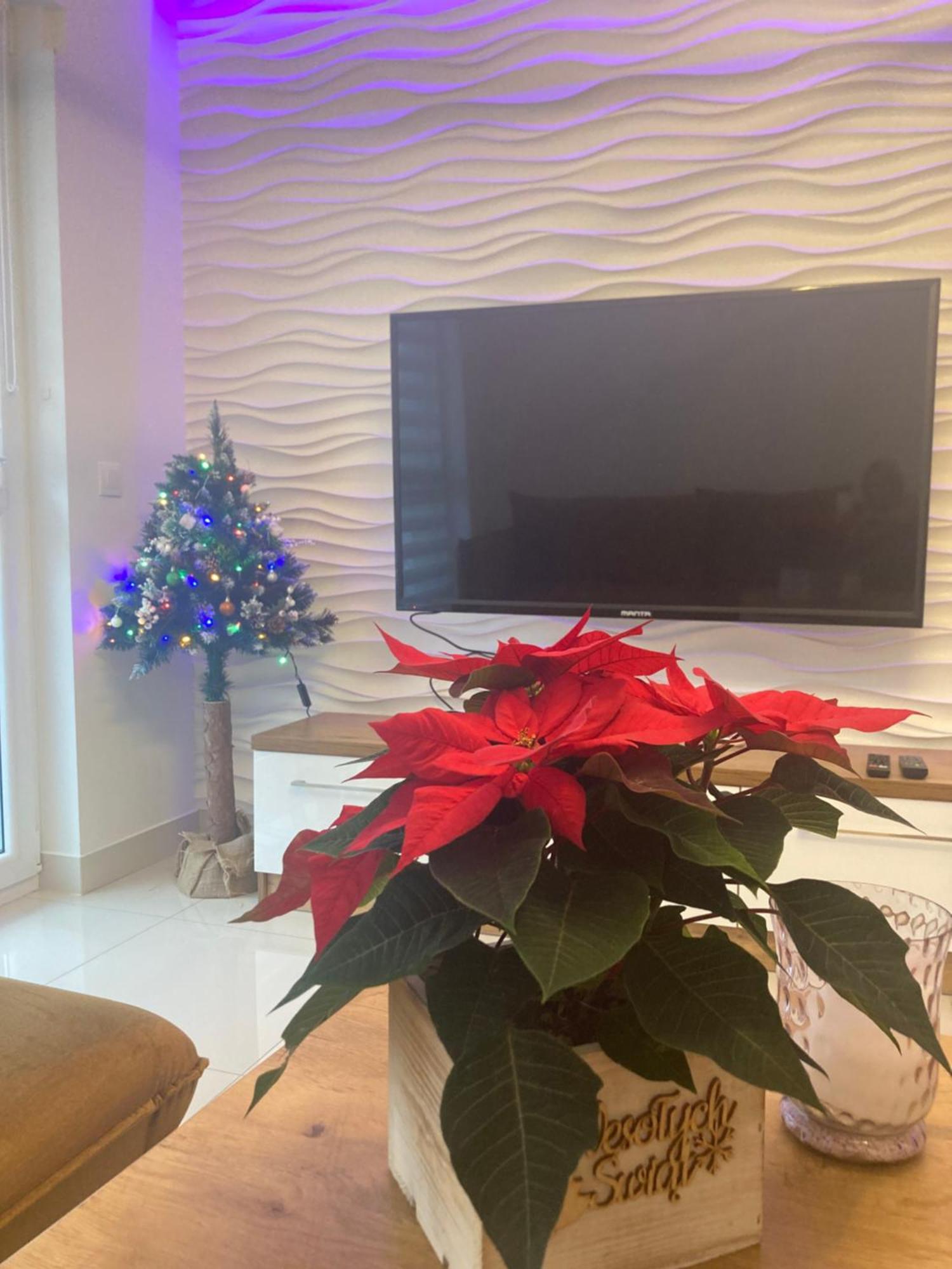 Vip Apartment
